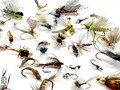 Premium Fly Fishing Trout Assortment - Fly Fishing Flies for Fly Fisherman and Anglers - Guide Curated Fly Box - River and Streams Mix