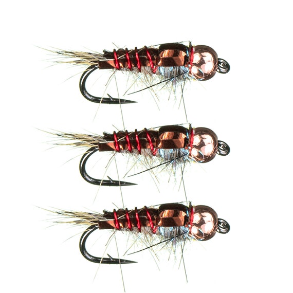Fly Fishing Flies for Trout Tungsten Bronzeback Nymph Bead Head Flies and Fishing  Lures for Fishermen 3 Pack of Premium Flies -  Canada