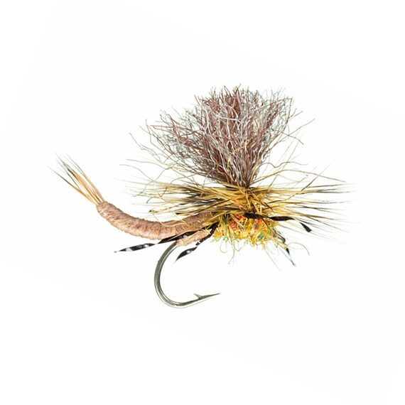 Attractor Dry Fly Carnage Brown Drake Foam Bodied Dry Fly Pattern Fishing  Flies Fly Fishing Gifts 3 Pack of Premium Trout Flies 