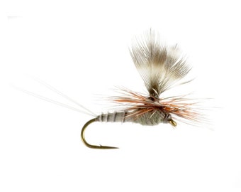 Hydropsyche Caddis Larva Trout Flies Colorado Fly Fishing - Etsy