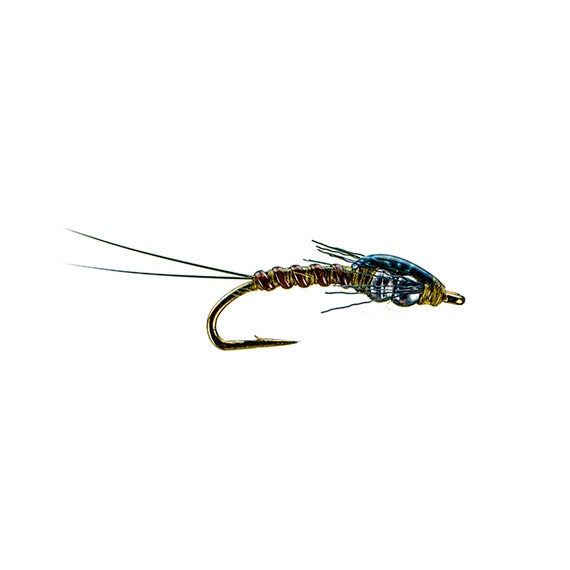 Double Tungsten BWO Blue Winged Olive Emerger and Midge Patterns Fly  Fishing Flies for Your Fly Box 3 Pack of Premium Trout Flies -  Canada
