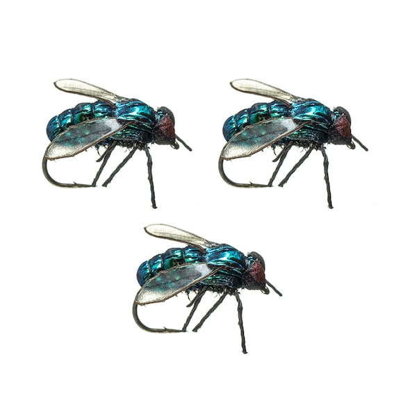 Fly Fishing Flies Housefly Realistic Fly Patterns for Trout and Panfish Fly  Fishing Gifts 3 Pack of Premium Fly Fishing Flies -  Australia