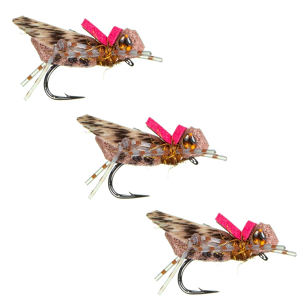 Foam Dry Flies Wookie Hopper the Best Dry Fly Patterns Hand Tied Dry