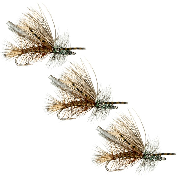 Dry Fly Attractor Patterns Olive Chew Toy Dry Flies for Trout and  Freshwater Fish Fishing Flies and Lures 3 Pack Fishing Gifts -  Canada