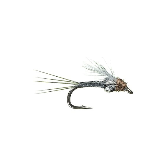 Trout Flies Tungsten RS2 Grey Fly Fishing Flies and Fishing Gifts for Men  and Women 3 Pack of Premium Flies 