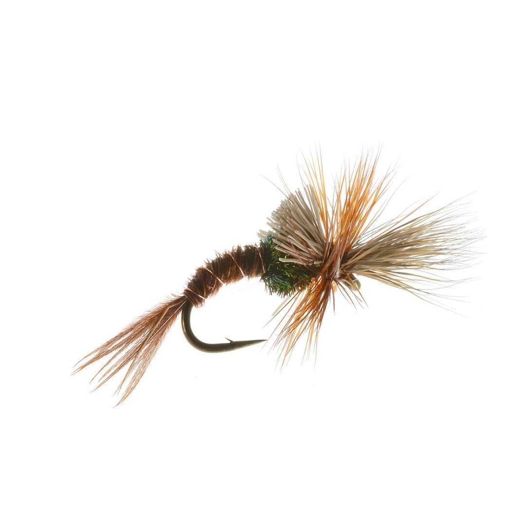 Challenged Mayfly Emerger Pheasant Tail Emerger Fly Patterns Trout ...