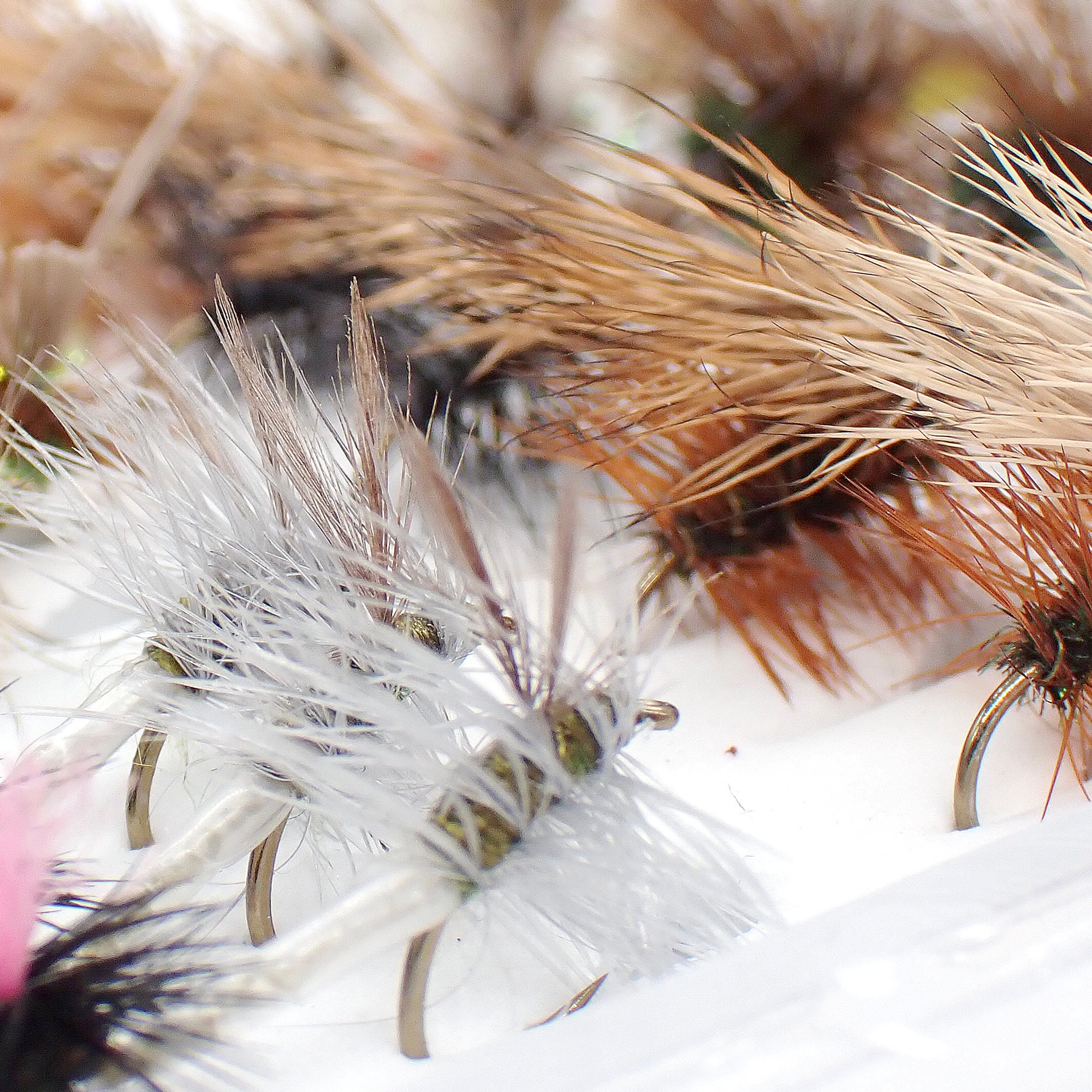 Mouches Sèches Truite – Noir Et Paon – 3 Par Paquet – Choix Tailles – Troutflies UK