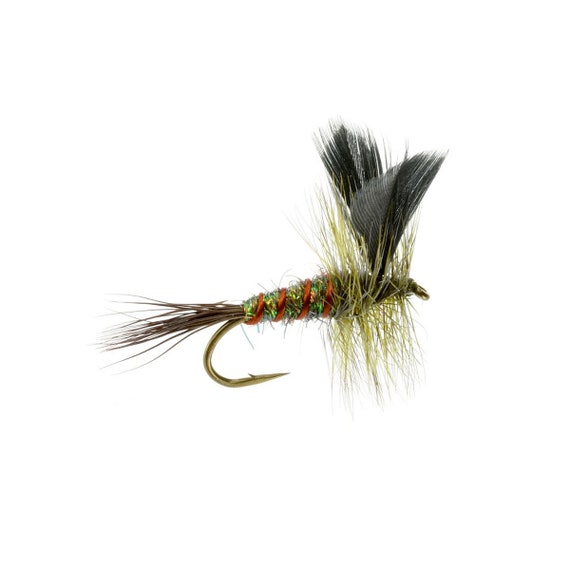 Dry Flies Dry Ice Green Drake Flies for Trout Fly Fishing Flies & Fly  Fishing Gifts -  Israel