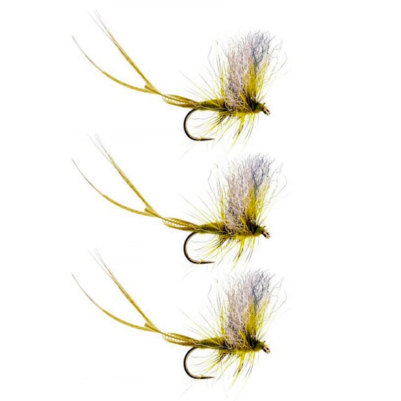 Dry Flies Green Drake Masterclass Dry Flies for Trout Fishing Premium Dry  Flies for Trout 3 Pack of Flies and Fishing Lures -  Canada