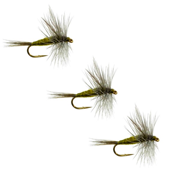 Blue Winged Olive Dry Fly Top Dry Fly Patterns Classic Dry Flies Fishing  Gifts Classic Dry Fly Patterns 3 Pack of Flies -  Canada