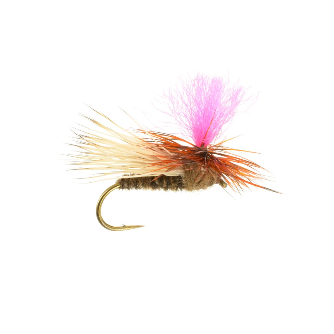 Bloom Caddis Dry Fly Discount Flies to Fill Your Fly Box Hand Tied