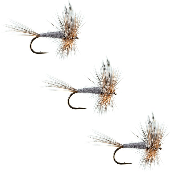 Adams Lot De 8 Mouches Sèches Taille 10 Pour Pêche à La Truite – Irrésistibles, Montage Soigné, Qualité Pro Pour La Pêche En Rivière Et Lac