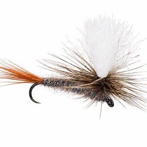 May include: A fishing fly lure featuring a dark grey fuzzy body, a prominent white upright wing made of fine fibers, brown hackle feathers radiating from the center, and a long orange tail attached to a curved black metal hook.