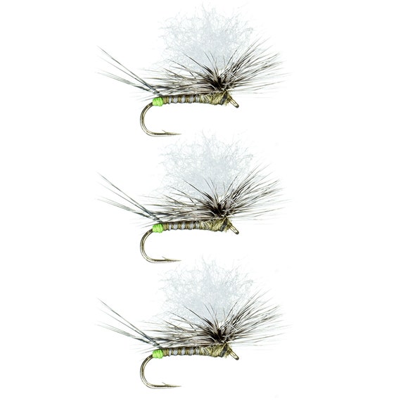 Dry Flies for Fly Fishing BWO Parachute Wulff Premium Trout Flies Fly  Fishing Flies and Fishing Lures 3 Pack of Flies 