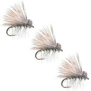 Fly Fishing Flies by Colorado Fly Supply - Epoxy Ant Fly Pattern - Ant  Terrestrial Fly Fishing Lure - Hard Body Ant - Trout Flies and Lures for  Fishermen - Fishing Tackle - 3 Pack of Trout Flies
