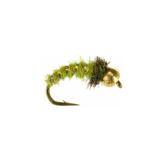 Caddis Larva Fly Pattern Bead Head Nymph Fly Hand Tied Flies Trout Flies  Gifts for Men 3 Pack of Premium Fly Fishing Flies -  Canada
