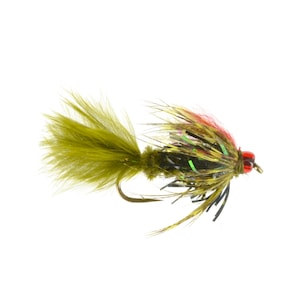May include: A green, black, and red fly fishing lure with a long, green tail.