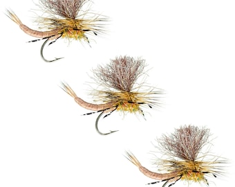 Pêche à la mouche pour bien débuter simplement