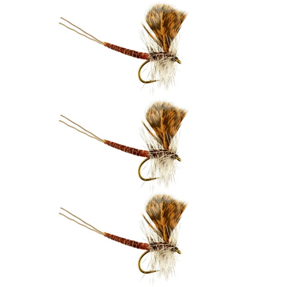 Dry Flies Brown Drake Extended Body Popular Dry Fly for All Fly Boxes Best  Selling Dry Flies 3 Pack of Premium Trout Flies -  UK