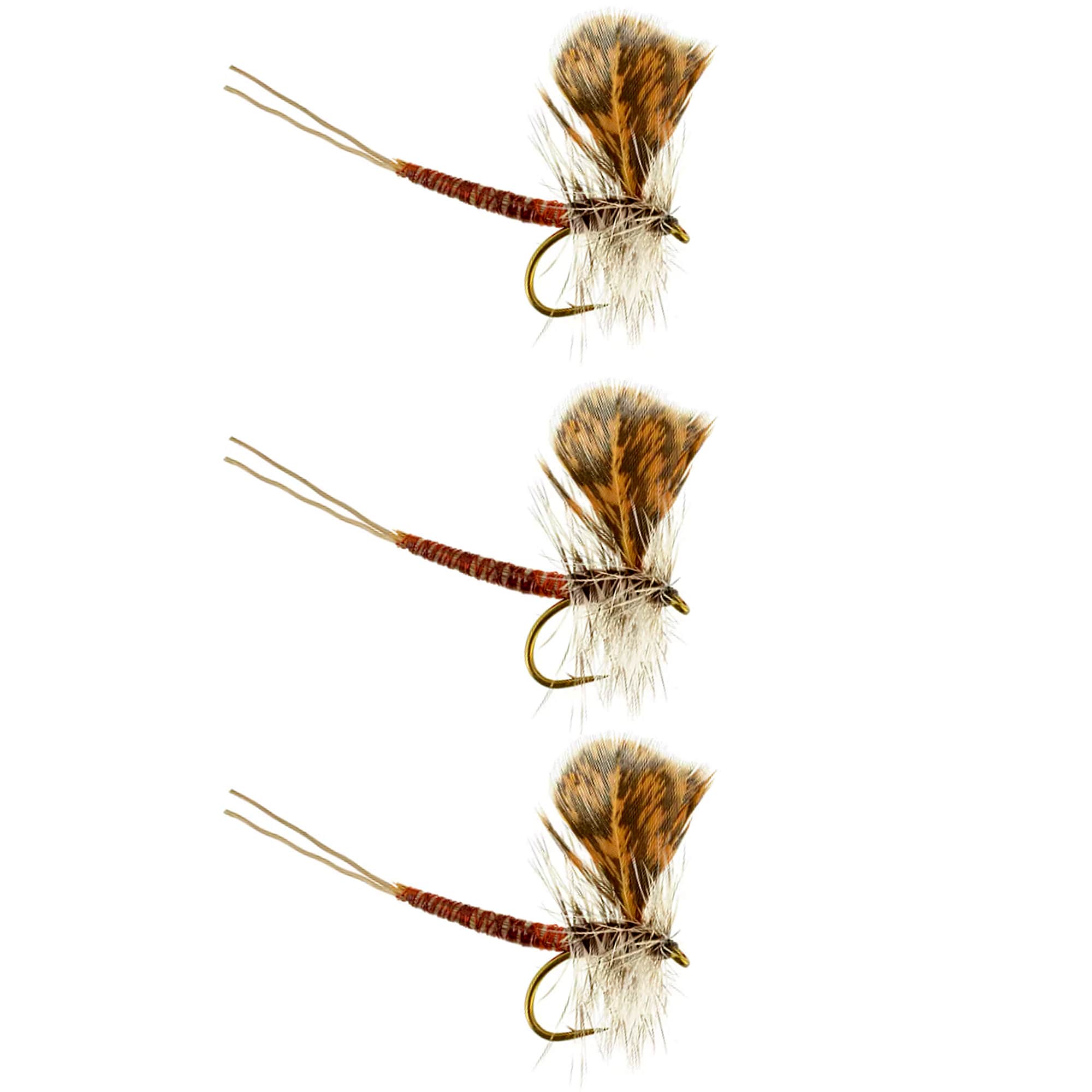 Dry Flies Brown Drake Extended Body Popular Dry Fly for All Fly Boxes Best  Selling Dry Flies 3 Pack of Premium Trout Flies 