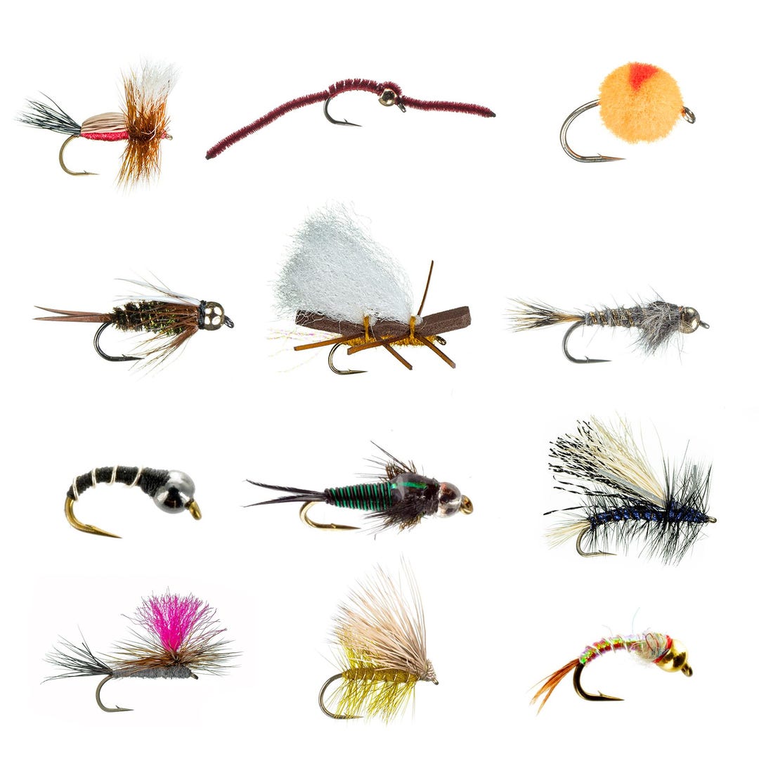 200 Mouches De Pêche à La Truite Assorties - World Class Flies - Lot Débutant