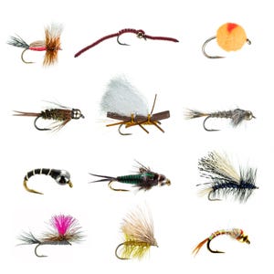 May include: Assortment of 12 colorful fly fishing lures with feathers, fur, and beads. The lures are designed to mimic insects and other aquatic creatures.