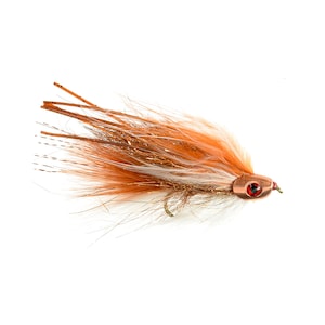 May include: A brown and white fly fishing lure with a copper head and red eye.