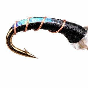 May include: A fishing fly featuring a gold-colored metal hook, a black thread-wrapped body, a shimmering iridescent blue and green strip along the top, a thin copper wire ribbing, and a clear, spherical bead at the eye of the hook.