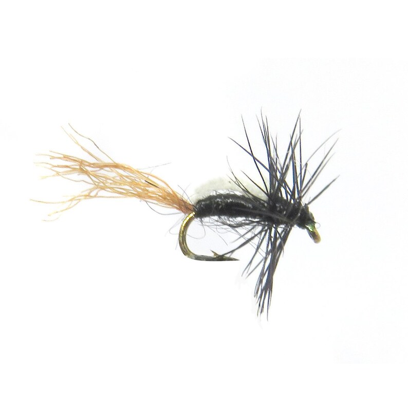 Foam Back RS2 Emerger Fly Fly Fishing Flies Fly Fishing Gift Etsy