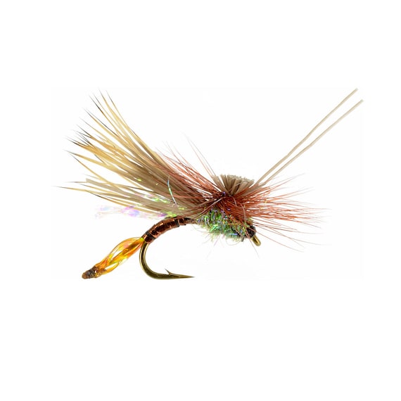 Dry Fly AC Caddis Dry Fly Pattern Popular Dry Fly for All Fly Boxes Best  Selling Dry Flies 3 Pack of Premium Trout Flies -  Canada
