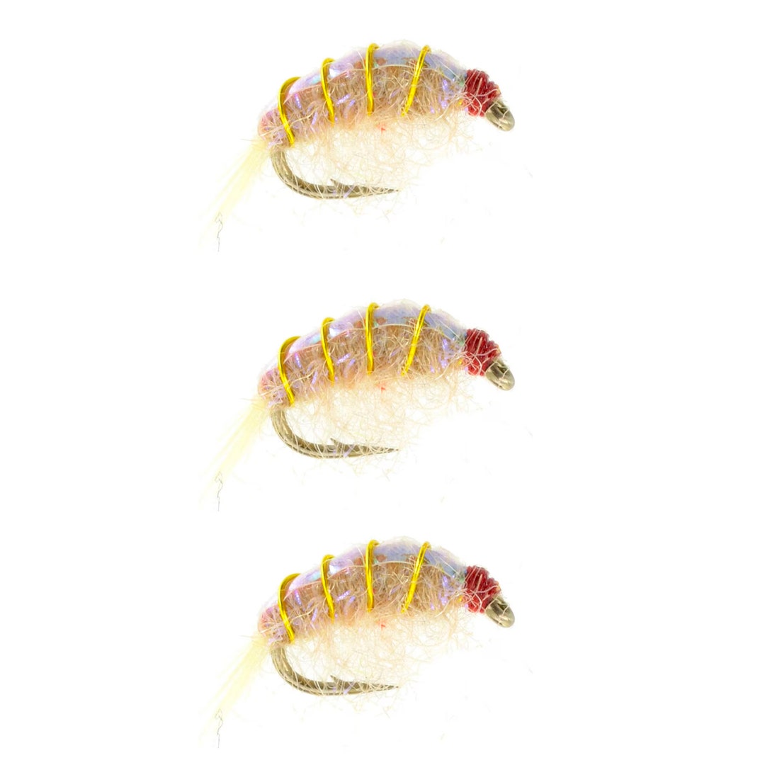 Bighorn Scud Hand Tied Flies Fly Fishing Flies Fly Fishing Mens Gift Scuds and Sowbugs for Trout