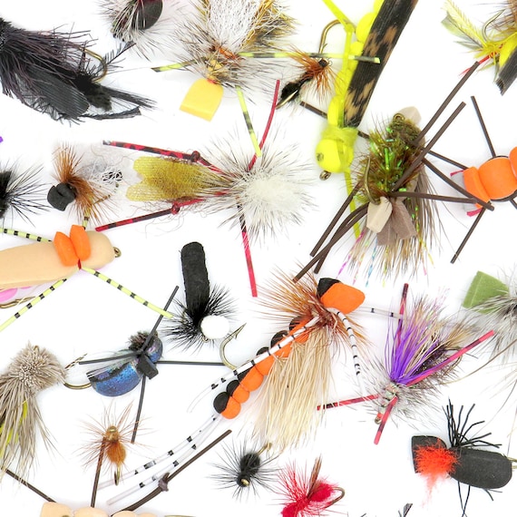 Lot de 50 mouches nymphes pour pêche à la truite - Motifs et tailles variés