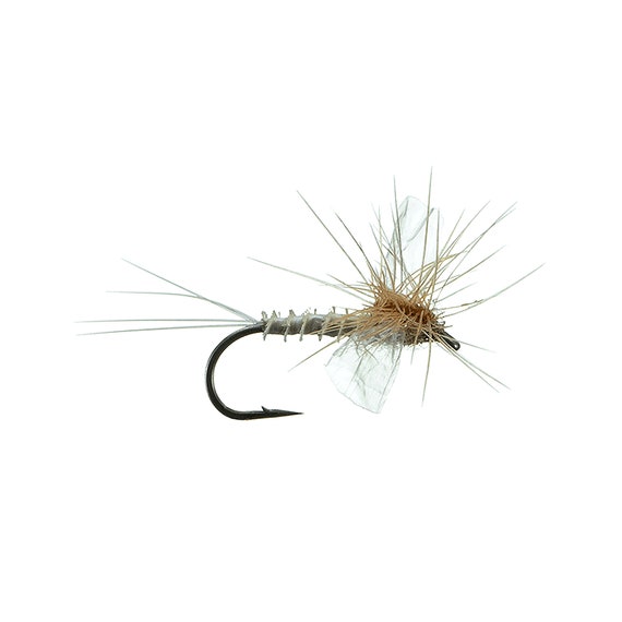 Dry Flies PMD Spinner Popular Dry Fly for All Fly Boxes Best