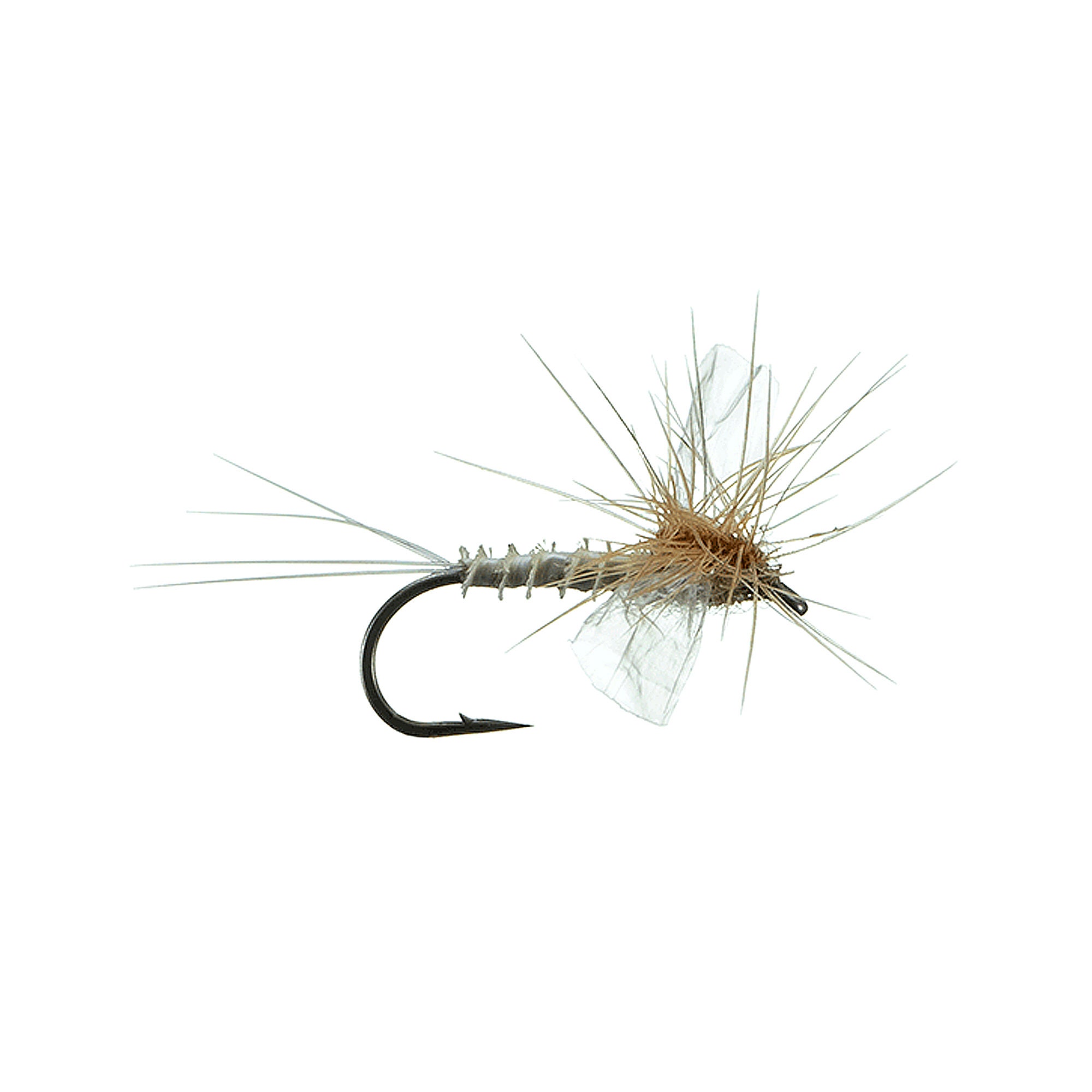 Dry Flies PMD Spinner Popular Dry Fly for All Fly Boxes Best Selling Dry  Flies -  Finland