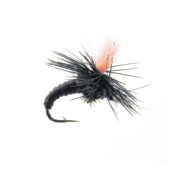 secas Magia negra Moscas a para su caja - Etsy España