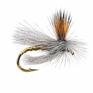 May include: A fishing fly lure featuring a gold-colored metal hook, a body wrapped in metallic gold thread, and a prominent upright wing section made of brown and black speckled fibers, surrounded by fine, light gray, wispy hackle feathers.