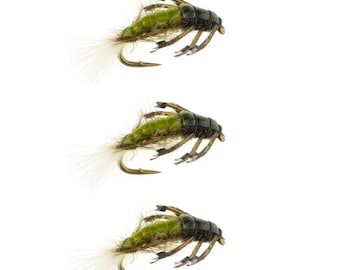 Hydropsyche Caddis Larva - Trout Flies - Colorado Fly Fishing Flies - Caddis Larvae Fly Pattern - 3 Pack of Premium Flies and Lures