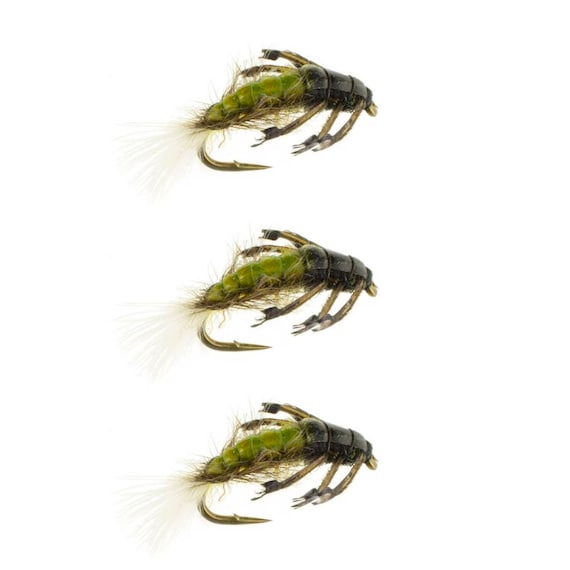 colorado trout fishing lures Hydropsyche Caddis Larva - Trout Flies - Colorado Fly Fishing Flies -  Caddis Larvae Fly Pattern - 3 Pack of Premium Flies and Lures