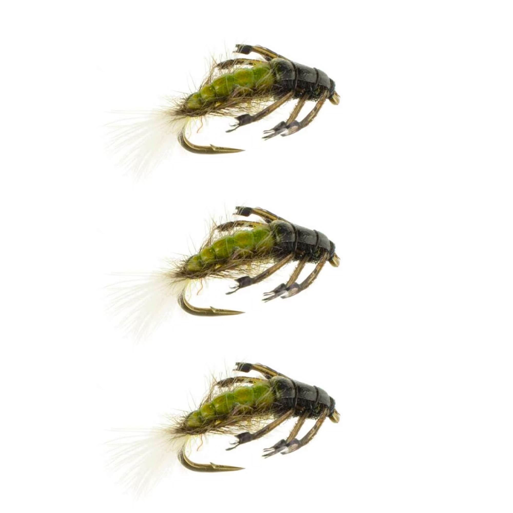 Hydropsyche Caddis Larva Trout Flies Colorado Fly Fishing Flies
