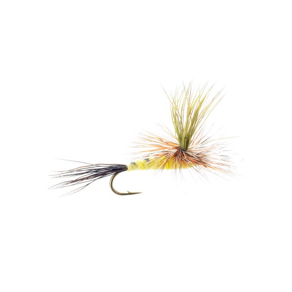 Dry Flies Eastern Green Drake Parachute Popular Dry Fly for All Fly Boxes  Best Selling Dry Flies Green Drake Dry Fly 3 Pack -  Canada