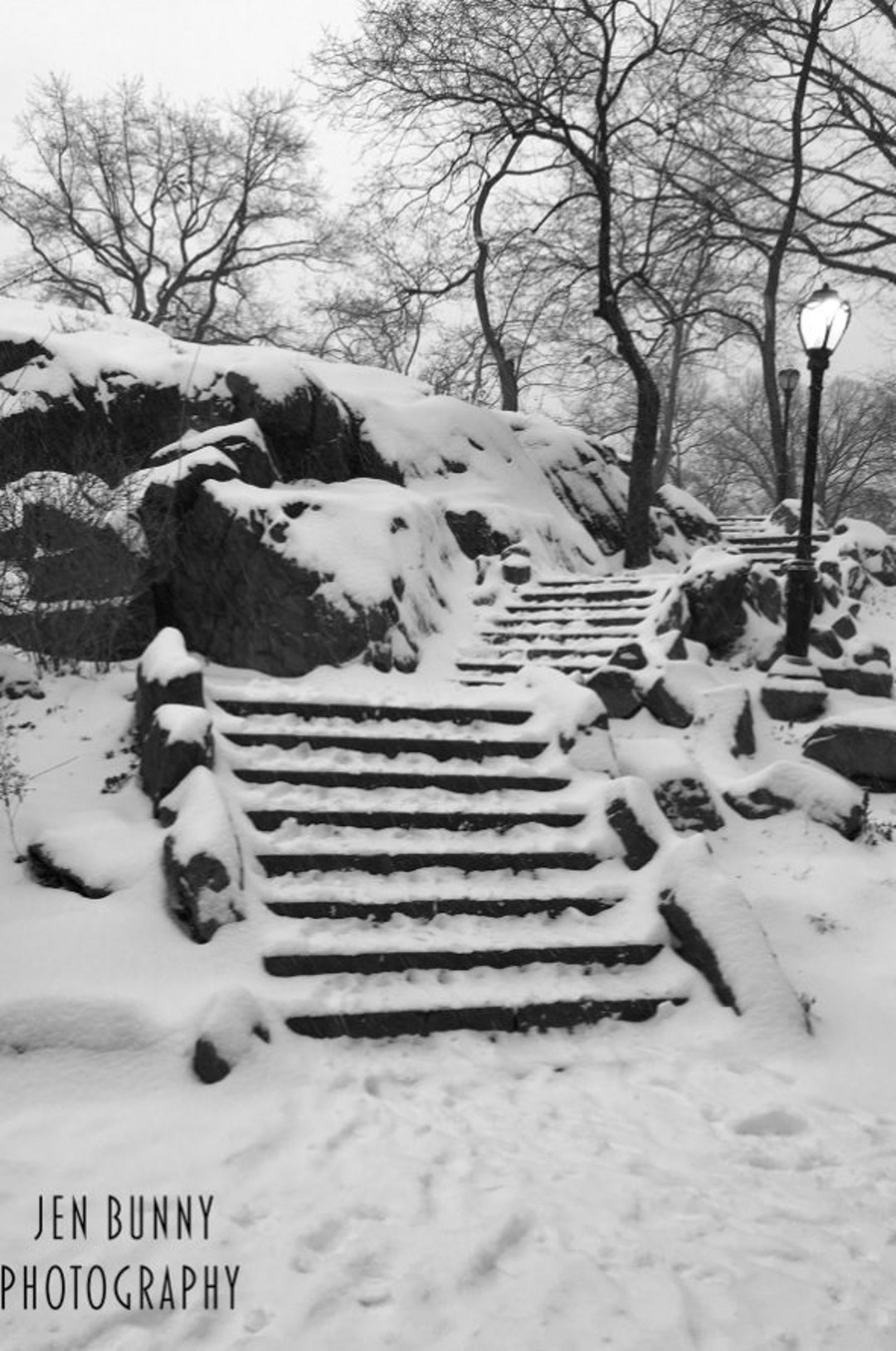 Central Park Snowfall New York City Winter Photography Print Wall Art
