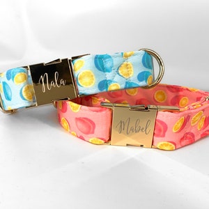 Personalized Laser Engraved Lemon Dog Collar, Spring Style, Quick Release Metal Buckle, Fruit Styles, Pink and Blue, Boy Girl