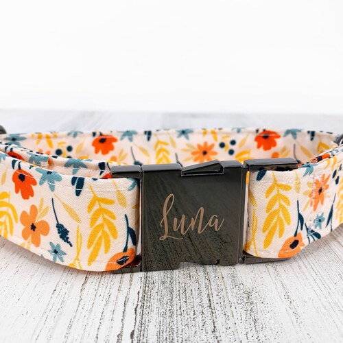 engraved pet collar
