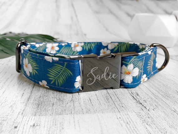 Sushi Designer Colorful Pink and Blue Quick Release Metal Buckle Personalized Laser Engraved Sushi Roll Dog Collar Fun Boy Girl Collar Sushi Designer Colorful Pink and Blue Quick Release Metal Buckle Personalized Laser Engraved Sushi Roll Dog Collar Fun Boy Girl Collar