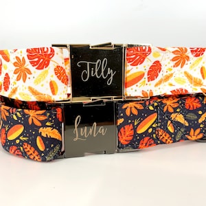Autumn Leaves Dog Collar Personalized, Autumn design, Fall Thanksgiving Pet wear, Black and Orange.