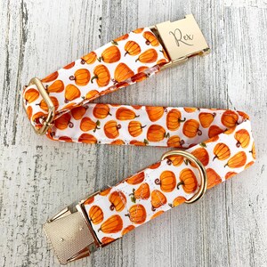 Pumpkin Dog Collar Personalized, Autumn design, fall Pet wear, Black and Orange. image 6