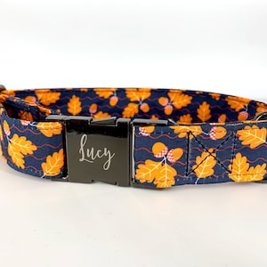 Acorn Dog Collar Personalized, Autumn Fall Season design, Fall Thanksgiving Pet wear