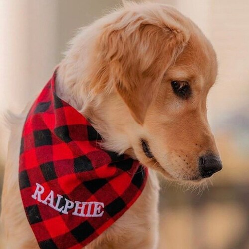 Personalized Dog Bandana Etsy