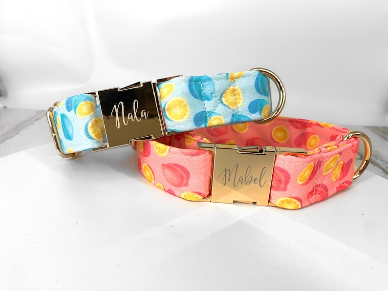 lemon dog collar
