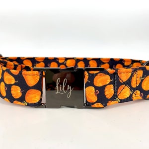 Pumpkin Dog Collar Personalized, Autumn design, fall Pet wear, Black and Orange. image 3